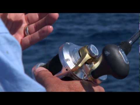 SHIMANO TALICA II REELS